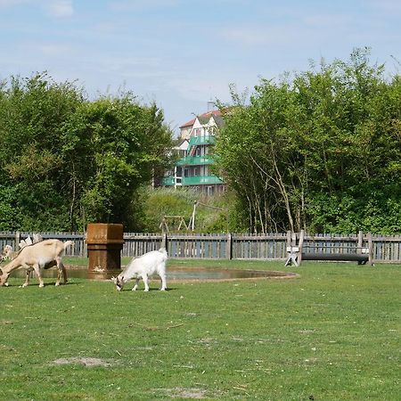 Huize De Duinen Aparthotel แบร์เกิน อาน ซี ภายนอก รูปภาพ