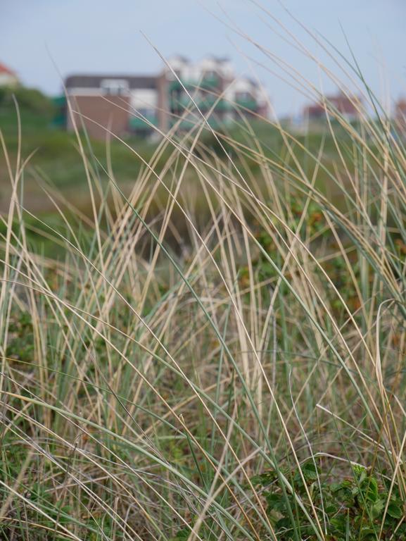 Huize De Duinen Aparthotel แบร์เกิน อาน ซี ภายนอก รูปภาพ