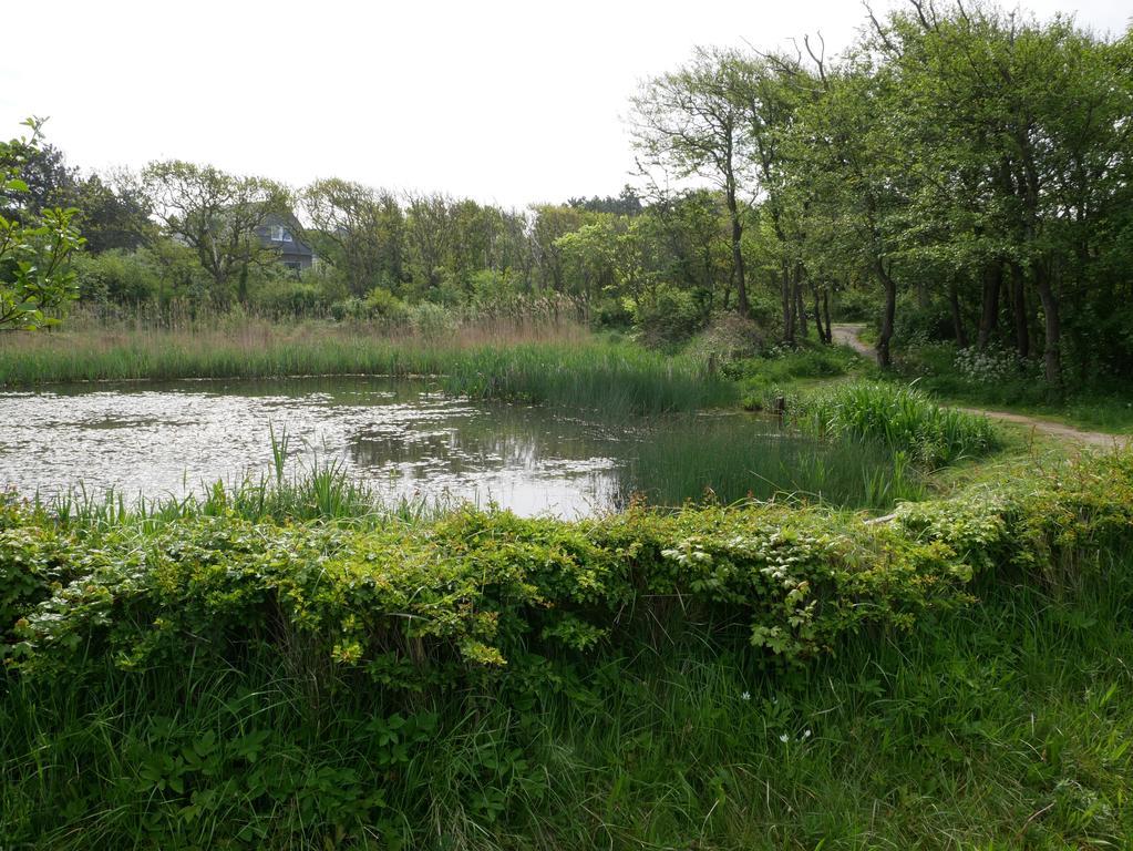 Huize De Duinen Aparthotel แบร์เกิน อาน ซี ภายนอก รูปภาพ
